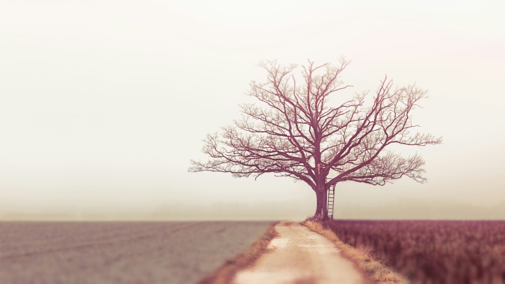 How Unresolved Trauma Shapes Adult Relationships: Understanding the Patterns Behind Our&nbsp;Reactions